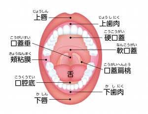 口腔がん